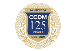 playzone casino online