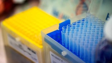 playzone casino online